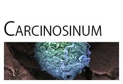 Scope of Carcinosinum in Pediatric Psychiatric Disorders