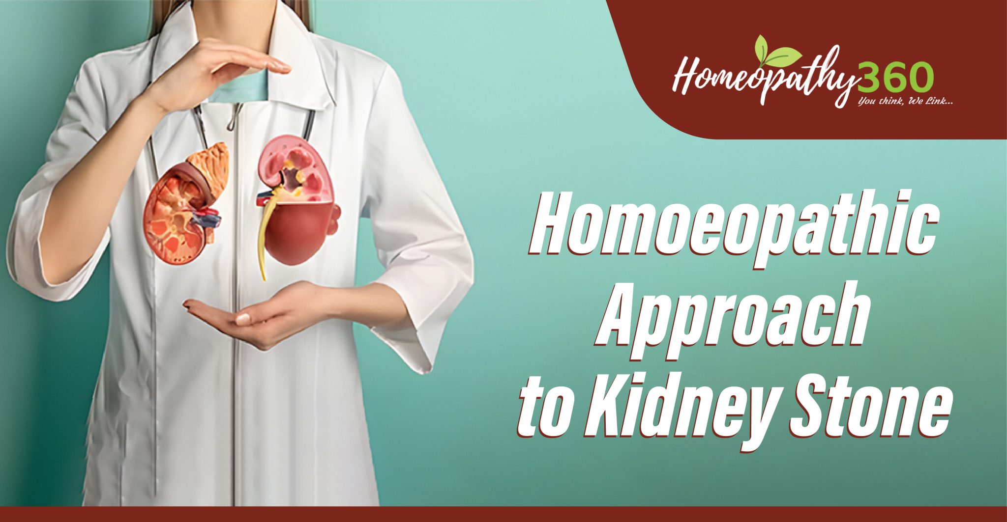 Homoeopathic Approach to Kidney Stone